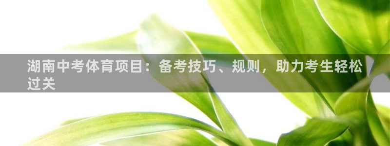 星欧娱乐公司简介
