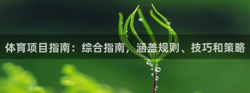 星欧娱乐官网下载