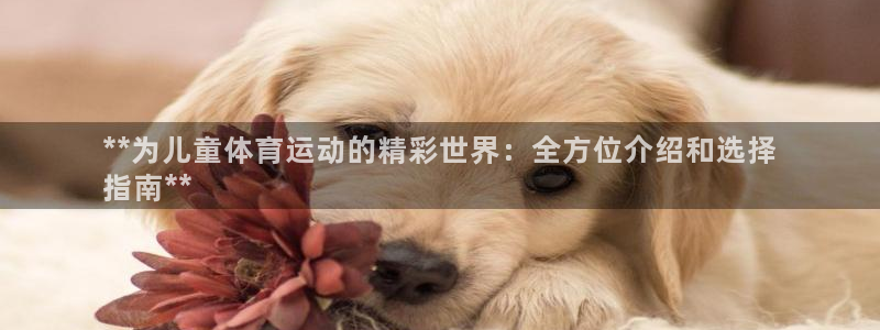 星欧娱乐是正规平台吗