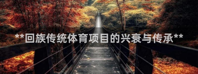 星奥娱乐旗下艺人