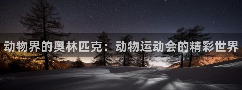 星欧娱乐最建议买的三个产品有哪些呢
