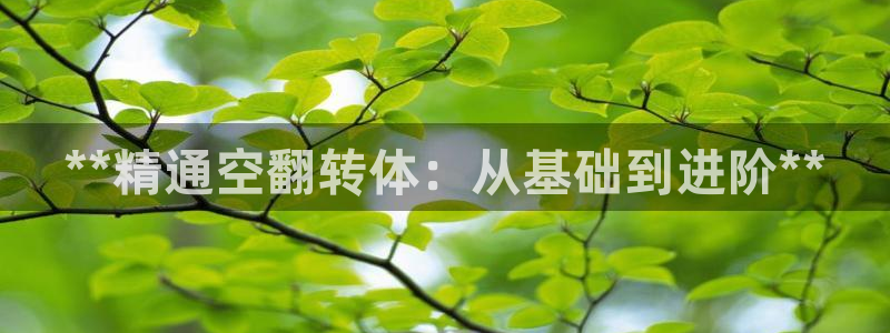 星欧娱乐法711.112扣费如何处理