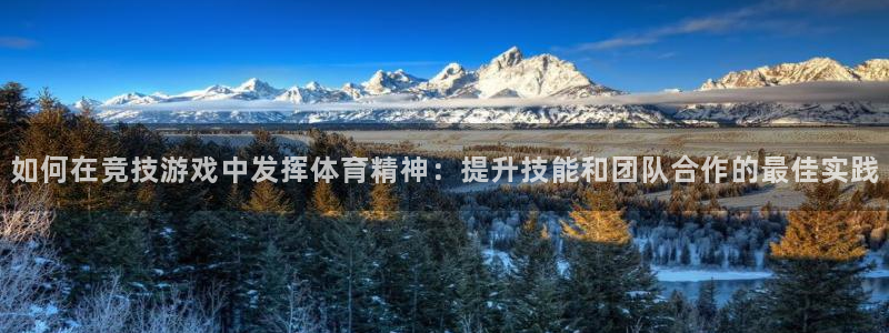 星欧娱乐是正规平台吗安全吗
