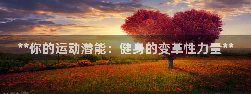 星欧娱乐法711.112不退款后果
