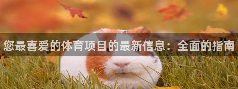 星欧娱乐的创始人背景故事介绍