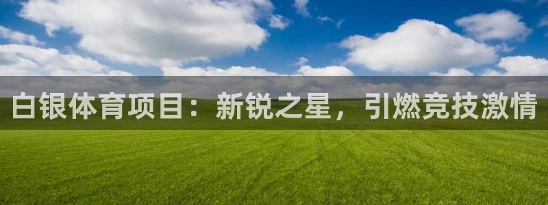星欧娱乐公司