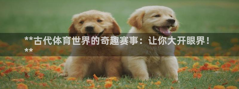 星欧娱乐公司创始人背景故事介绍