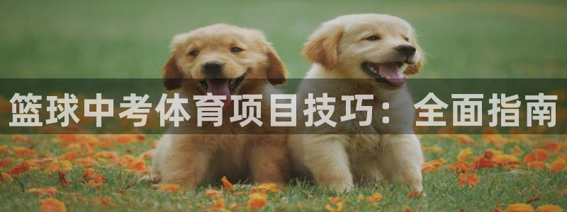 江苏星奥娱乐有限公司怎么样