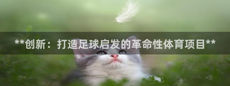 星欧娱乐联客服联系方式