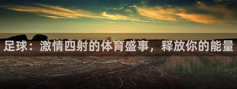星欧娱乐联客服联系方式