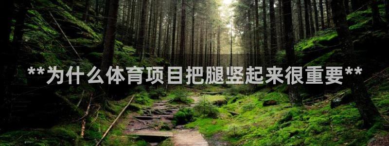 星娱乐包月是干嘛的