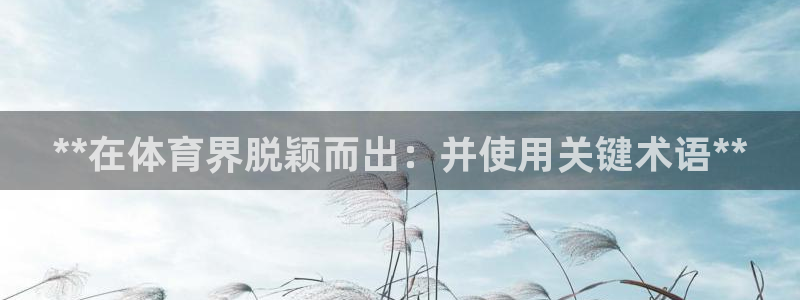 星欧娱乐法711.112不退款后果