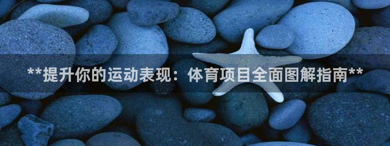 星欧娱乐属于什么档次的公司名称