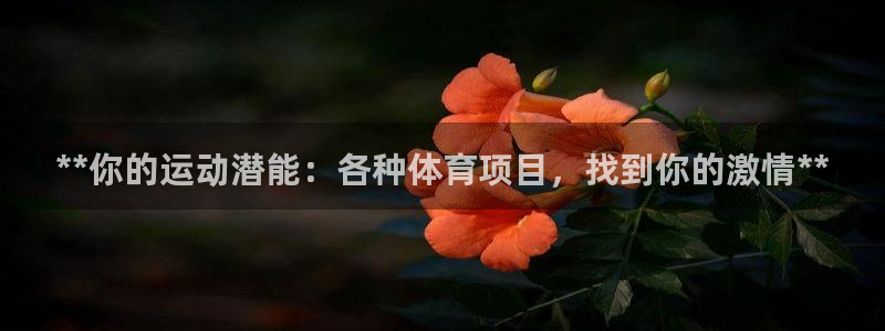 星欧娱乐下载最新版本更新内容