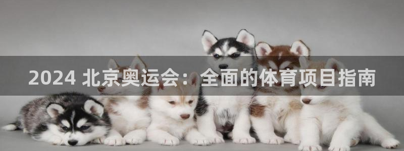星奥娱乐集团股份有限公司