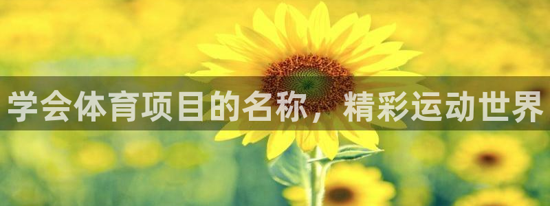 星欧娱乐扣款流程详解图片