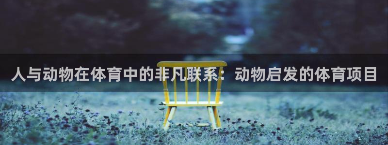 星欧娱乐最建议买的三个产品是什么呢
