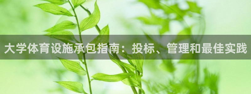 星欧娱乐平台怎么样可靠吗安全吗