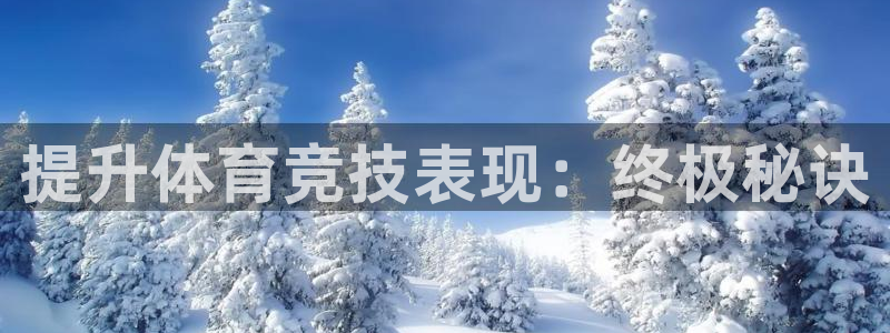 星欧娱乐的官方版本更新内容
