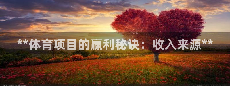 星欧娱乐扣款时间查询方法怎么查的