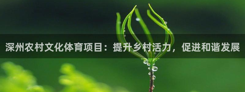 星欧娱乐扣款流程详解图片大全
