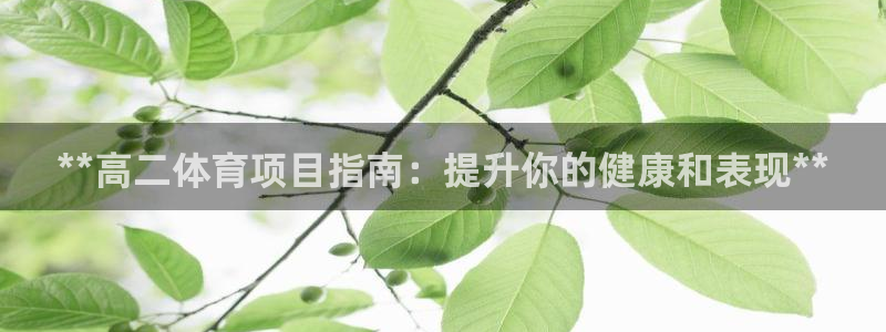 星欧娱乐彩票软件下载安装