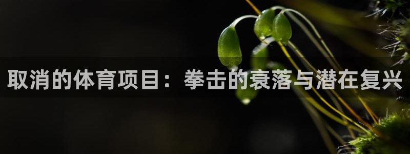 江苏星奥娱乐有限公司出过哪些艺人
