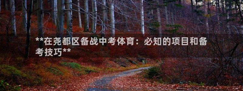 星欧娱乐联游戏评测