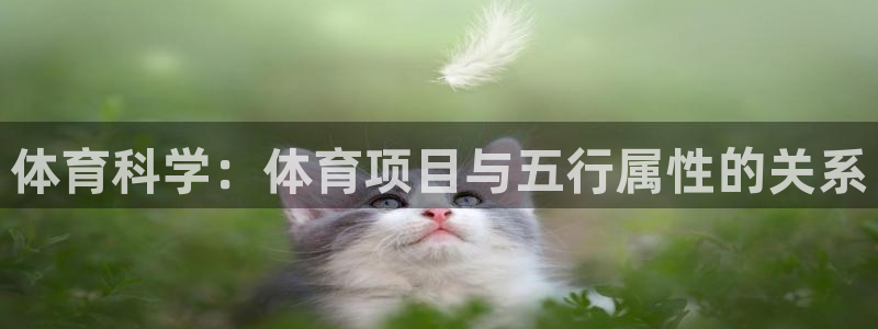 星娱乐online刘亦菲