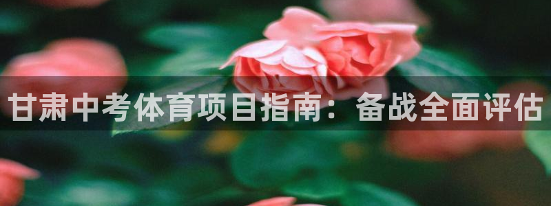 星奥娱乐集团股份有限公司