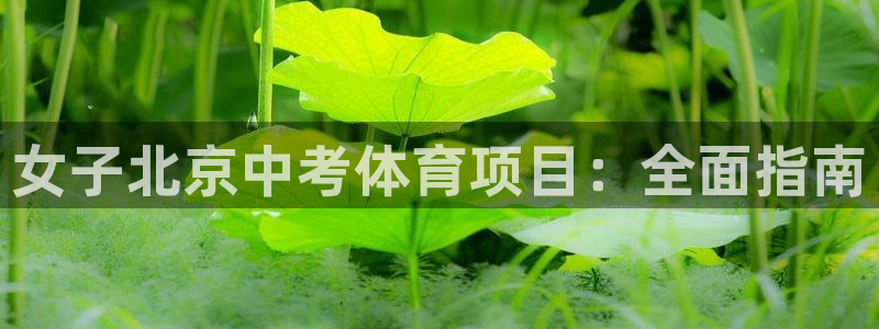 星奥娱乐怎么样