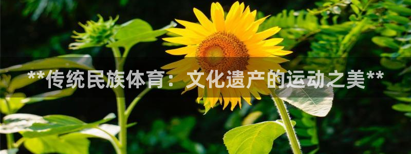 星欧娱乐工711.11是正规的吗