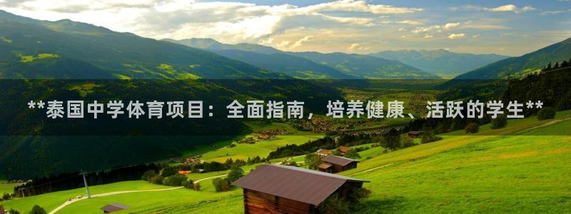 星欧娱乐公司创始人背景故事