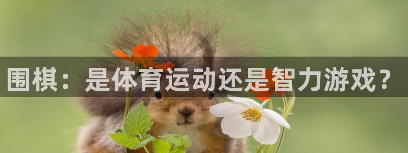 星欧娱乐扣款时间查询方法