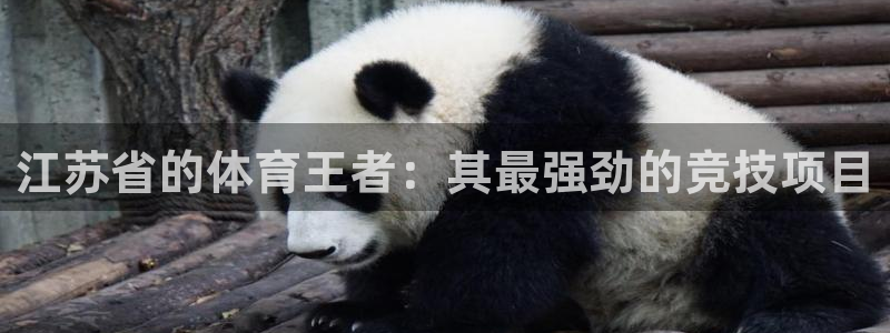 星欧娱乐巴711.112扣费记录查询方法