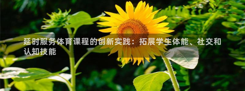 星欧娱乐扣款流程详解图片大全