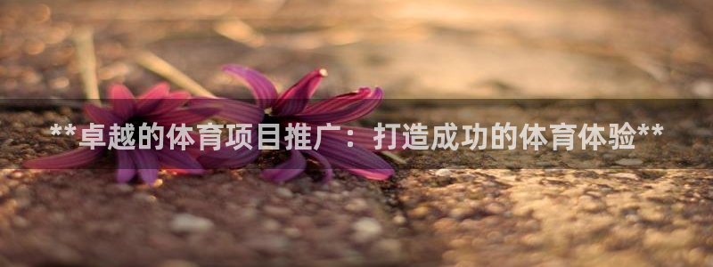 星欧娱乐平台道7O777