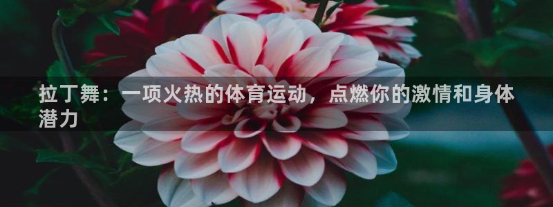 星奥娱乐招聘