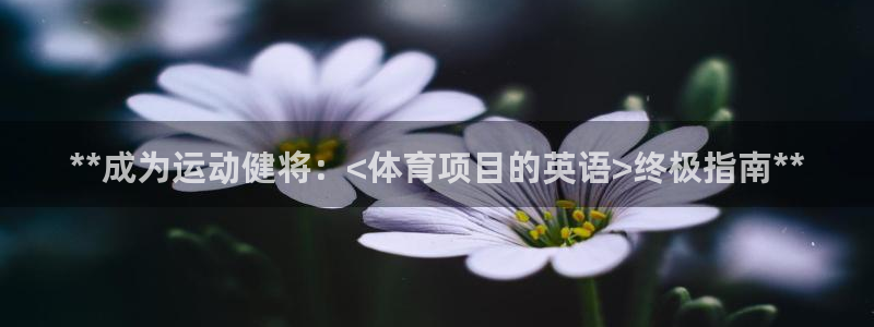 星欧娱乐挂机赚钱软件