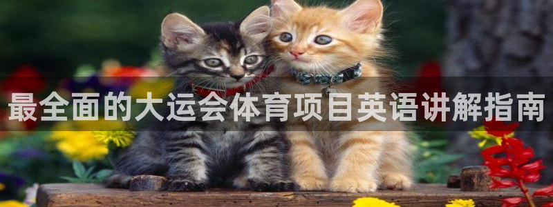 星欧娱乐载711.112使用教程详解