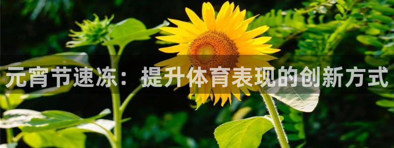 星欧娱乐平台怎么样啊安全吗