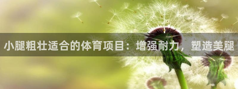 星欧娱乐公司地址
