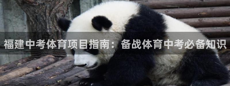 星奥娱乐旗下艺人