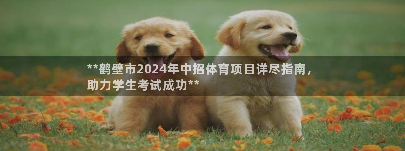 星欧娱乐最建议买的三个游戏是什么