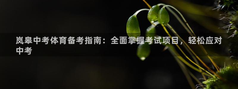 星欧娱乐扣款时间查询方法是什么意思