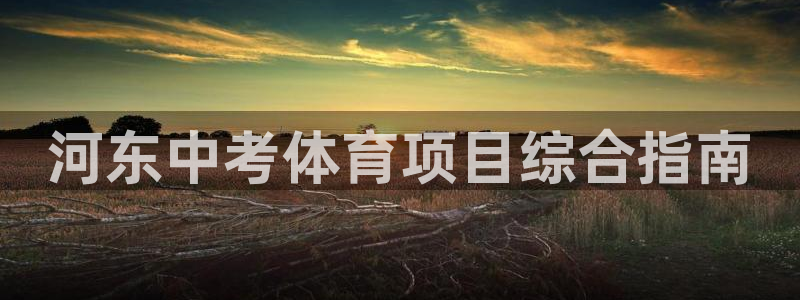 星娱乐彩票网