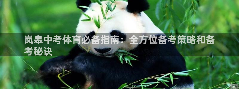 星娱乐文化传媒