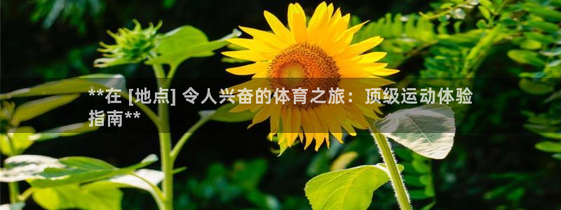 星欧娱乐的官方版本更新内容有哪些