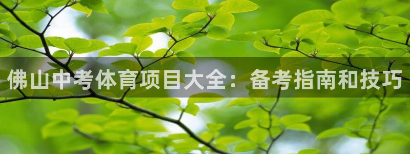 星欧娱乐是正规平台吗可靠吗