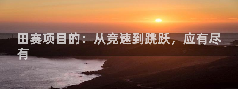 星欧娱乐联游戏评测